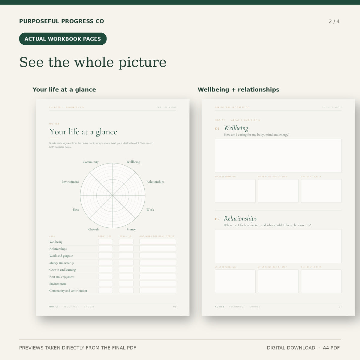 The Digital Life Audit
